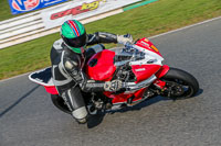 PJ-Motorsport-Photography-2018;enduro-digital-images;event-digital-images;eventdigitalimages;mallory-park;mallory-park-photographs;mallory-park-trackday;mallory-park-trackday-photographs;no-limits-trackdays;peter-wileman-photography;racing-digital-images;trackday-digital-images;trackday-photos